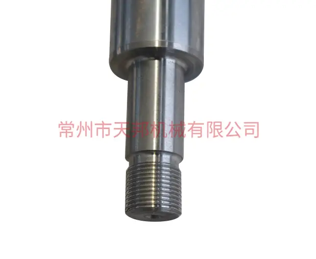 Cylinder piston rod